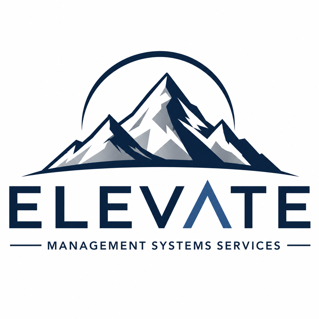Elevate Management Systems Services